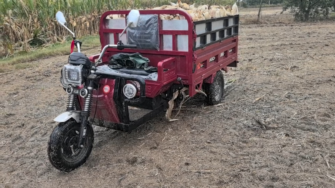 Electric cargo tricycles working on farmland and fruit orchard, heavy load three wheel electric vehicles for agricultural harvesting and goods delivery